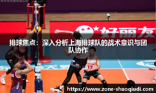 排球焦点：深入分析上海排球队的战术意识与团队协作